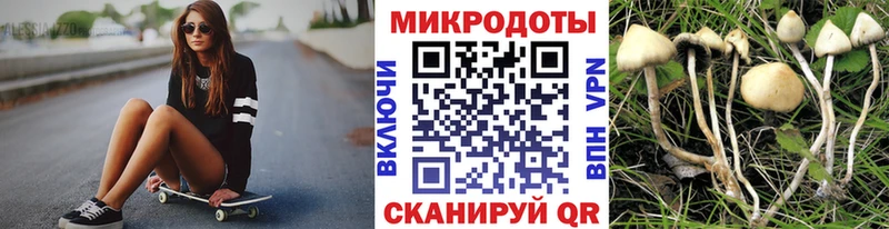 Галлюциногенные грибы мицелий  кракен зеркало  Каргополь 