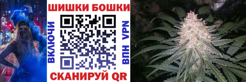 Бошки Шишки планчик  купить наркотик  Каргополь 